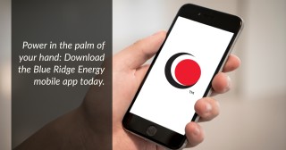 How to Report an Outage